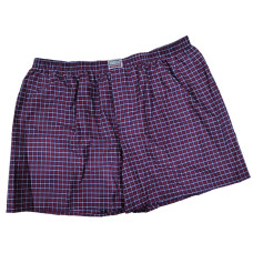 Мужские семейные трусы поплин 3XL-4XL-5XL Oztas 1134-A